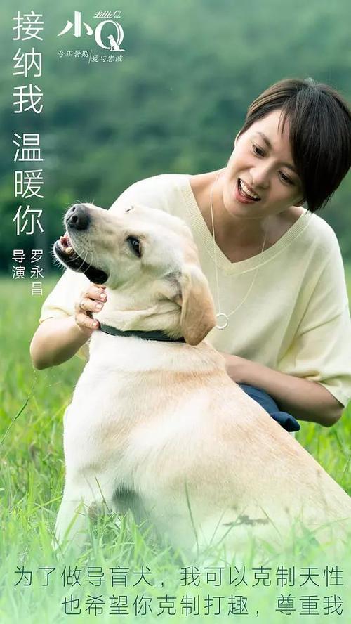 兰开斯特圣经学院文凭毕业证怎么买假的